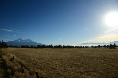 DSC_2994 (Large).JPG